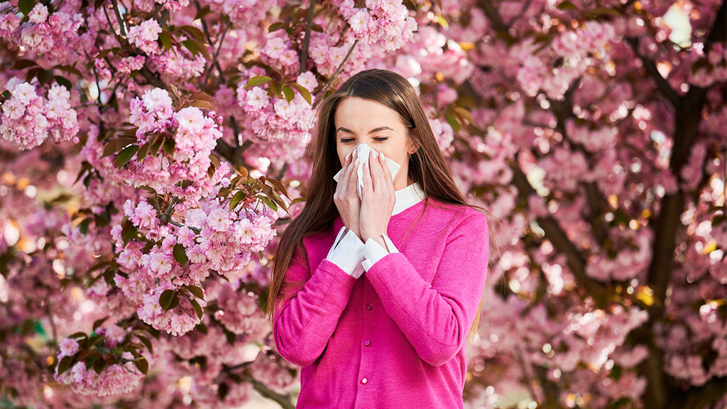 Die Wirkung von Quercetin gegen Allergien beruht auf mehreren Mechanismen