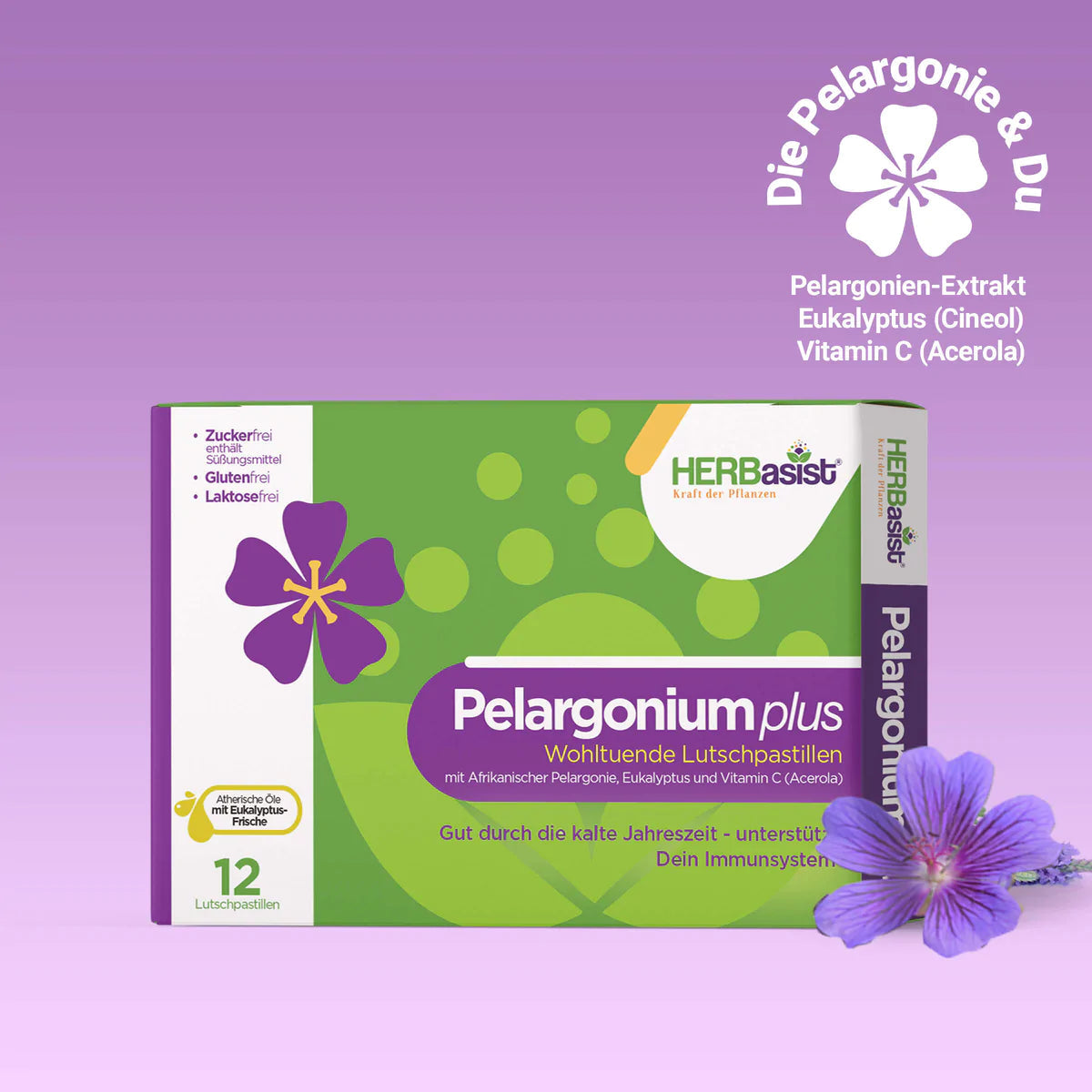 Pelargonium-Wohlfühl-Set